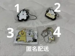 ガチャガチャ　んぽちゃむのサムネイル