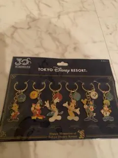 ディズニーランド30周年記念キーチェーンセット
