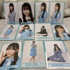 日向坂生写真11枚セット