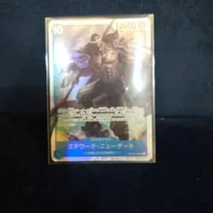 白ひげ　エドワードニューゲート