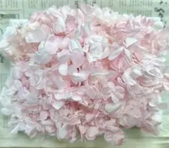 えこ様 リクエスト 7点 まとめ商品 おまとめ割引-550