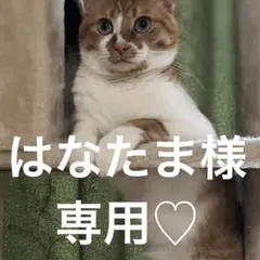 新品　大人気　グルミット　可愛い♡おやつじゃらじゃらキーホルダー☆バッグチャーム