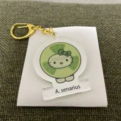 2025年最新】ハローキティ日本館の人気アイテム - メルカリ