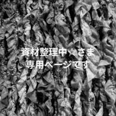 〚 資材整理中☆さま専用ページ 〛