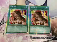 Item thumbnail for item e733ba4c-6308-47f1-8712-d89c0a8e79a2