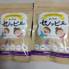 Item thumbnail for item 59a2163b-c641-4552-9385-939b8108c6f0