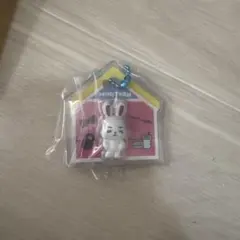 MINITEEN パッケージチャーム エスクプス チェチェリ