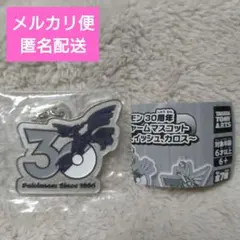 新品未使用/ポケモン/30周年記念/メタルチャーム/ゼクロム