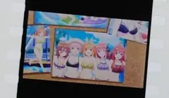 一花 二乃 三玖 四葉 五月 水着 劇場版 五等分の花嫁 第6弾 生コマフィルム