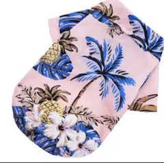 Item thumbnail for item 0c7b3849-513b-4c2c-b2c6-e8584cd30f0e