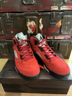 Item thumbnail for item 55482b7d-aeb1-49a1-8347-81c336f56a00