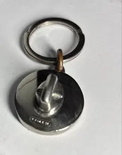 Item thumbnail for item 222d00bf-53e9-488a-9a57-dda3da206a0d