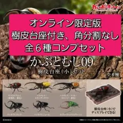 いきもの大図鑑　かぶとむし09　ガシャポンオンライン版　樹皮台座(小)付き
