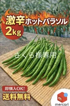 2026年最新】ホットパラソルEXの人気アイテム - メルカリ