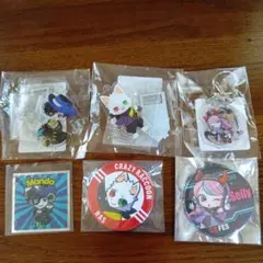 Crazy Raccoon アクリルキーホルダーセット