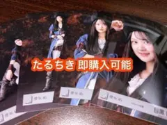 目黒陽色 櫻坂46 パイレーツ 生写真 4種コンプ