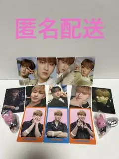 Stray KidsDICONトレカ12枚&つまんでつなげてマスコットチャンビン