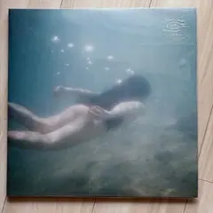 新品未開封】青葉市子 / アダンの風 レコード 輸入盤 2LP - メルカリ