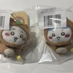 ちいかわ　たぬきだもんくじ　ハチワレ　たぬきだもん　くじ　C賞