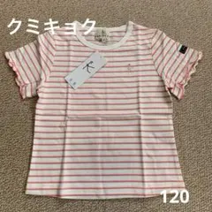 クミキョク　ボーダー　半袖Tシャツ 120