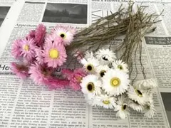 Item thumbnail for item 8bd74575-9469-4941-af4b-d89182ae0e18