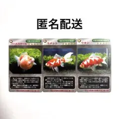 Item thumbnail for item 6ca35f57-9906-4691-912d-2b4e98dde892