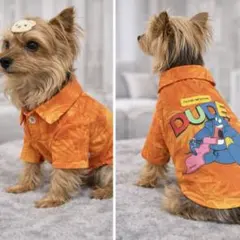 Item thumbnail for item 5dc26032-5406-4dcb-82ef-e52925d5448a