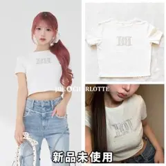 ダーリッチ darich パールストーンロゴTシャツ ホワイト WHTのサムネイル