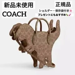 2026年最新】coach レキシー ショルダーの人気アイテム - メルカリ