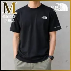 新品 日本未発売 ノースフェイス XL カットソー 涼感シャツ 韓国限定