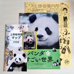 パンダちゃん 菅野ぱんだ 写真集 シール、おまけ付き - メルカリ