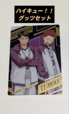 ハイキュー　グッツセット　白鳥沢メイン
