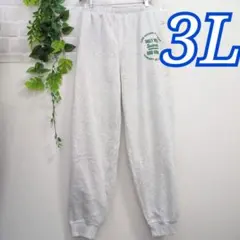 ＊新品＊裏起毛*暖かジョガーパンツ　大きいサイズ　メンズ