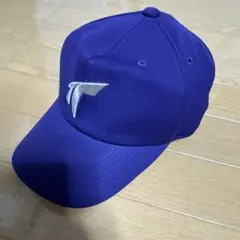 天理大学野球部野球帽