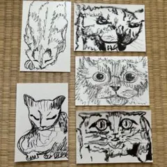 手描きイラスト 原画 5枚セット 猫 一点もの