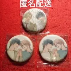 Chara 凪良ゆう　北野仁　美しい彼　佐藤アキヒト　アイシングクッキー　新品