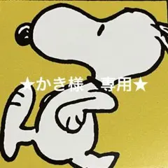 ★かき様　専用★