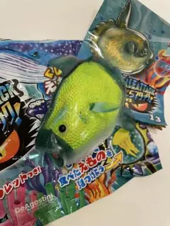 くじらアタック&co. アンドコ　マンボウのサムネイル