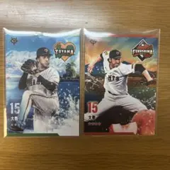 大勢　カード2枚セット