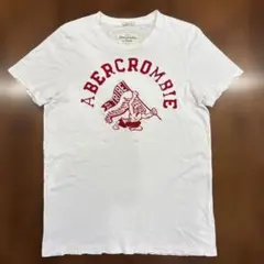 アバクロ Tシャツ ダメージ古着Tシャツ シミあり