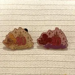 ディズニーランド40周年ピンバッジ