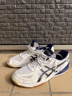 Item thumbnail for item 2120dfcf-4a83-4064-8baa-4abe6e2fbdd3