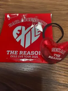 EXILE THE REASON ヘアアクセサリー