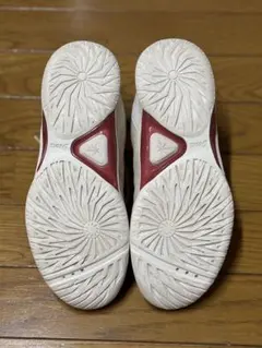 asics バスケットボールシューズ ゲルフェアリー レディゲル25cm