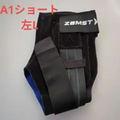 Item thumbnail for item 257bd18d-0df6-49fa-b6b9-e5b329dea2a2