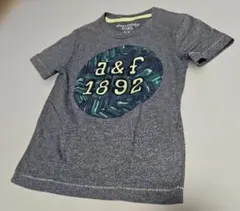 アバクロ　Tシャツ　110