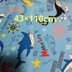 海洋生物プリント生地 43×110cm　オックス　男の子幼稚園