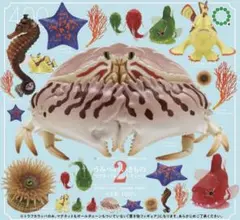 2026年最新】ダンゴウオ マグネットの人気アイテム - メルカリ