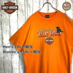 【メキシコ製】 ハーレーダビッドソン 半袖T グランドケイマン イグアナ