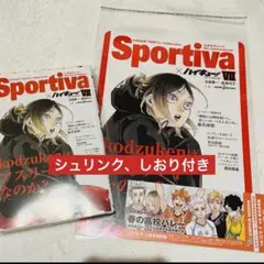 ハイキュー ショーセツバン アニメイト ビジュボ 孤爪研磨 7巻